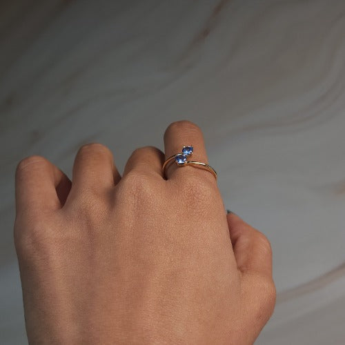 14Kt Gold 2 Stone Tanzanite Ring